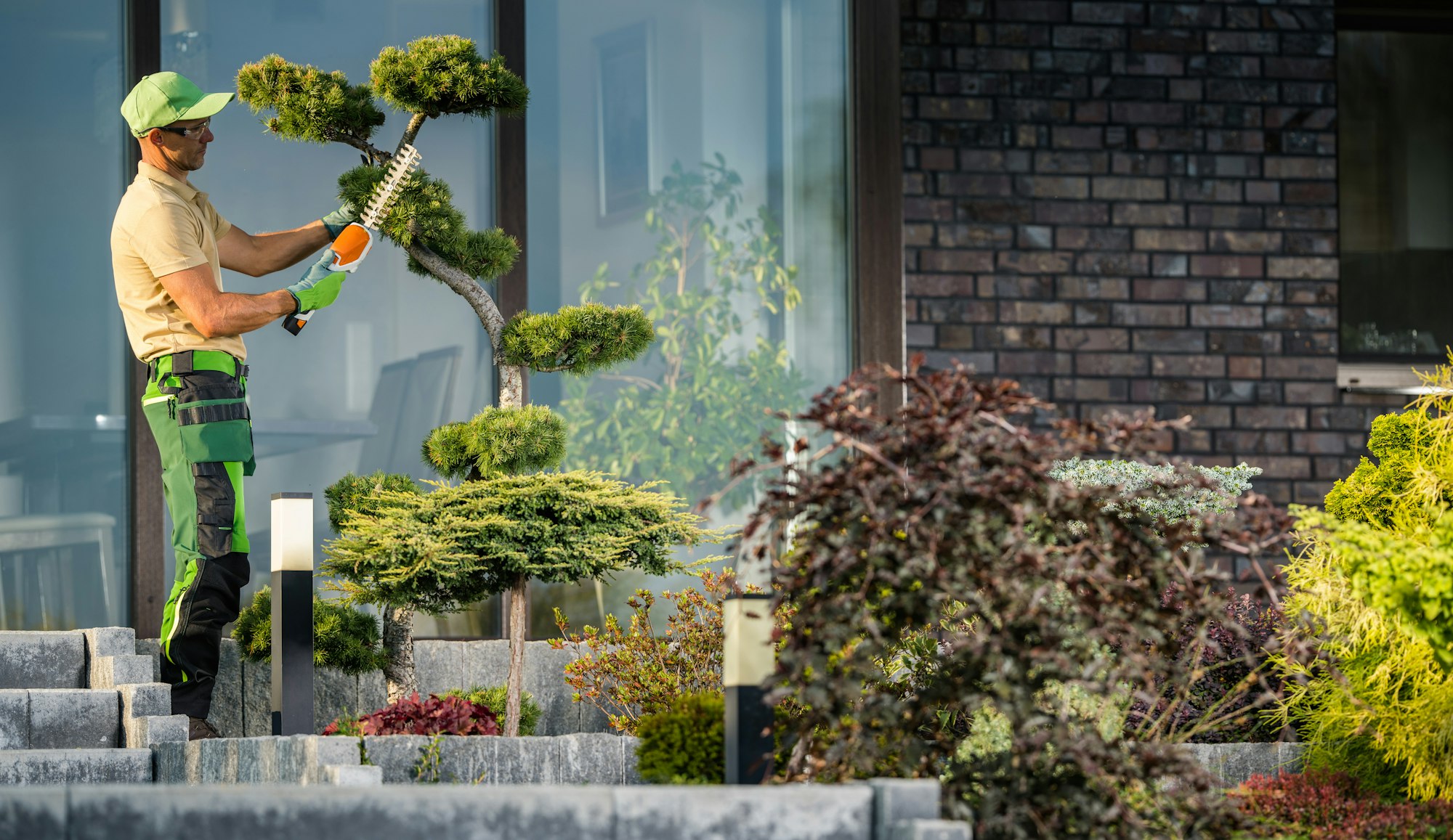 Landscaper Trimming Bonsai